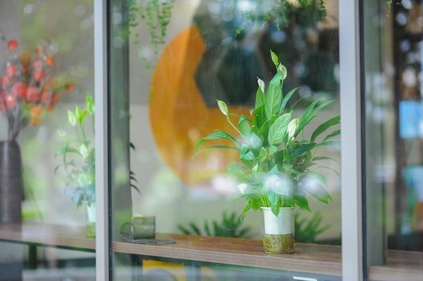 Les Web-Séries Françaises Qui Font Fureur : Découvrez les Incontournables