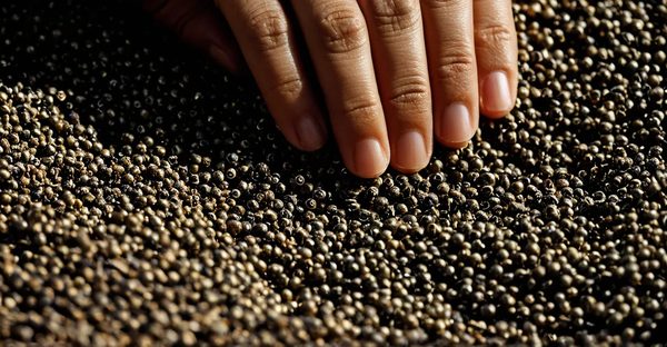 Comment trouver sa voie professionnelle et s'épanouir ?